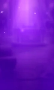 Alle Live-Casinos